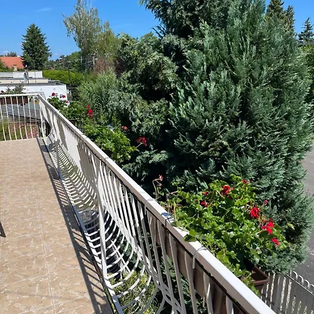 Apartament Z&t *